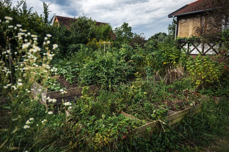 écolieu chats parchés Lampertsloch co-habitation copropriété nature environnement