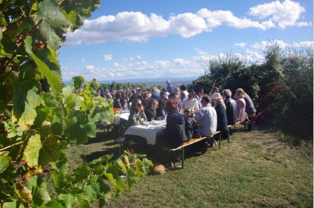 Vignoble Rosenmeer + dîner insolite