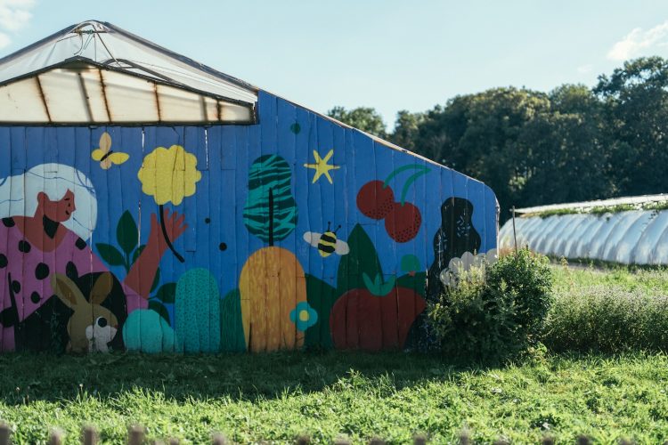 Maraicher champ ferme bio fruits et légumes