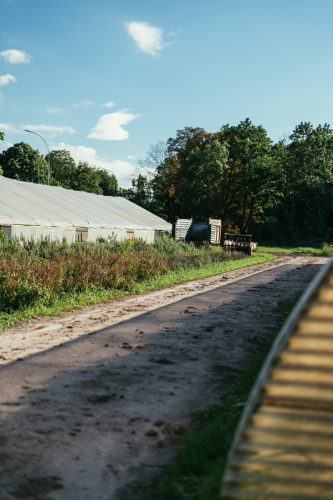 Maraicher champ ferme bio fruits et légumes