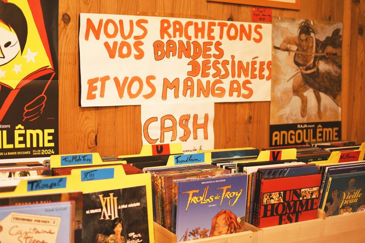 Librairie Farfafouille livres (5)