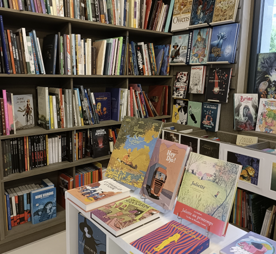 Librairie L’indépendante (4)