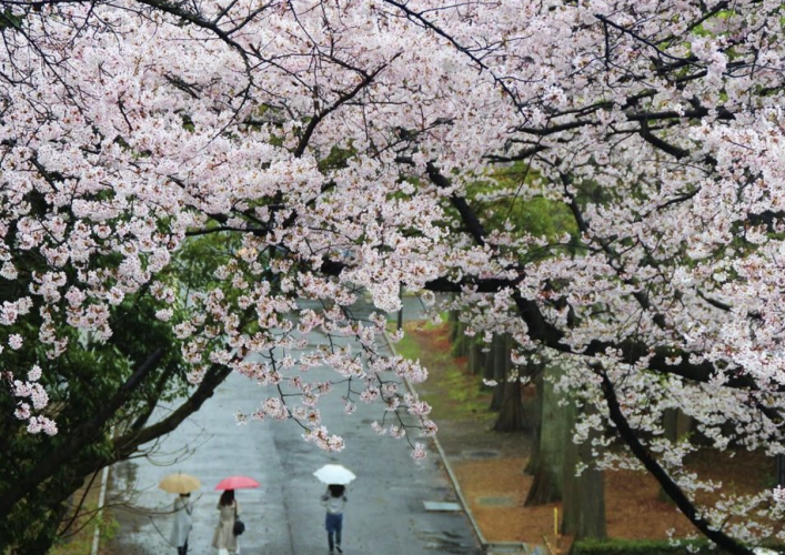 Instagram Prends ton manteau on s’en va Japon