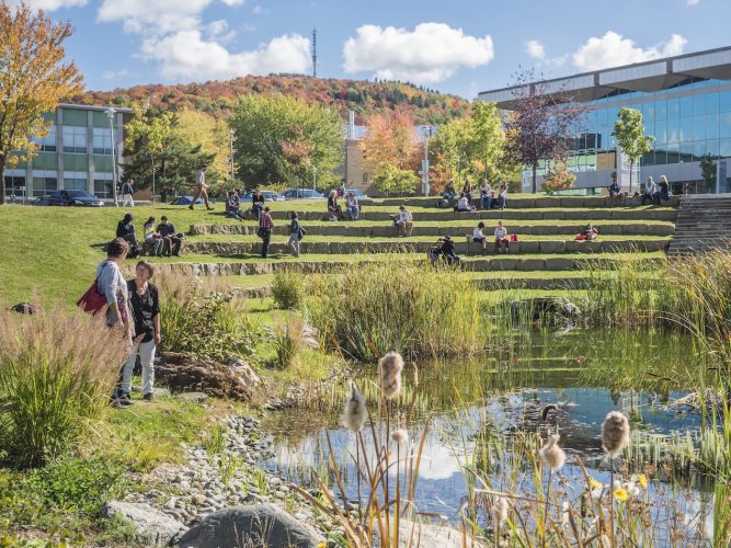 Québec université