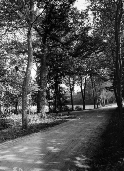 Forêt du Neuhof mai 1907  Lucien Blumer – AVES 29Z511