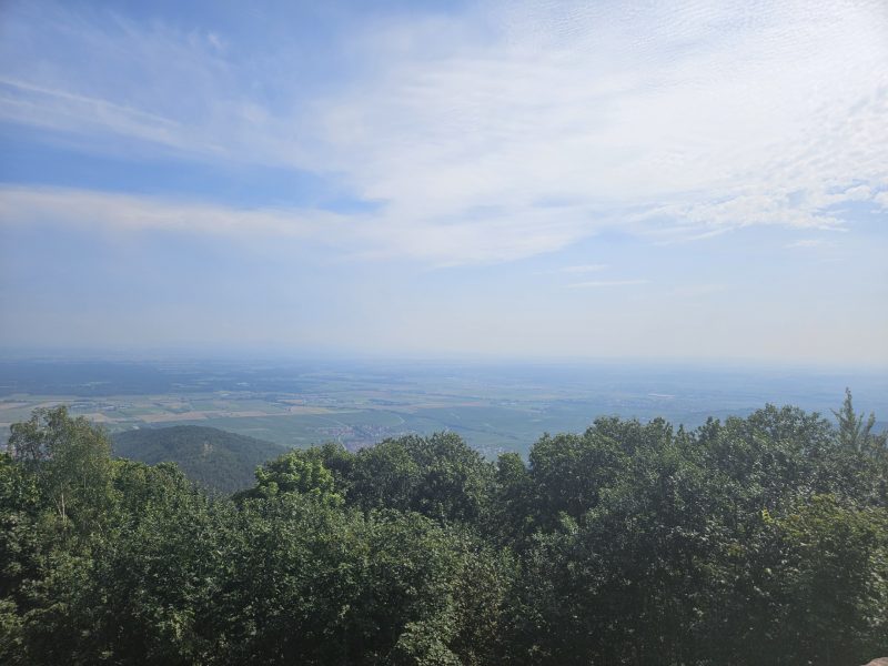 La plaine d’Alsace vue du Haut-Koenigsbourg