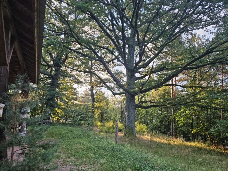 Après l’orage dans l’ancienne carrière de Wurzel