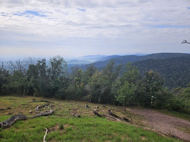 La plaine d’Alsace depuis le Haut-Ribeaupierre