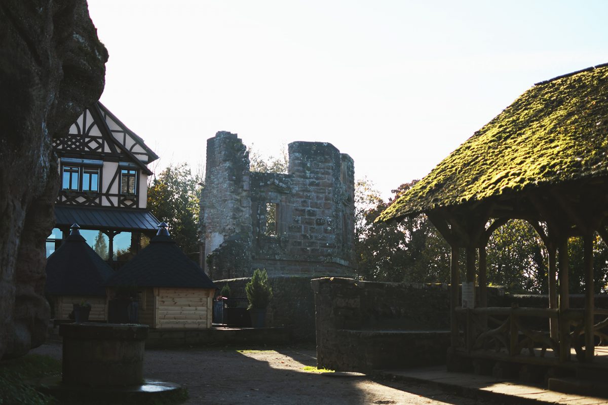 Château du Haut-Barr (17)