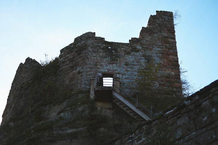 Château du Haut-Barr (3)