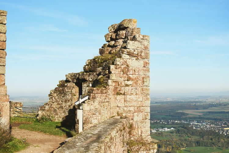 Château du Haut-Barr (31)