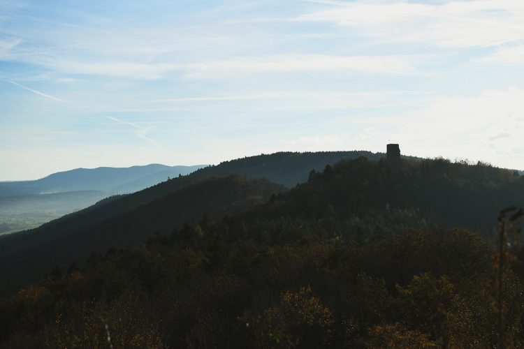 Château du Haut-Barr (39)