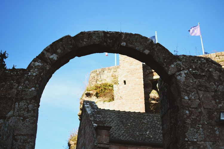 Château du Haut-Barr (4)