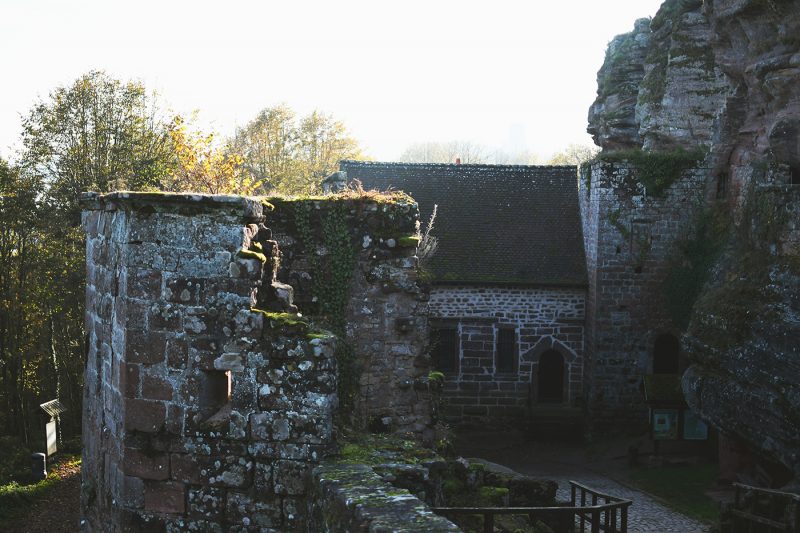 Château du Haut-Barr (5)