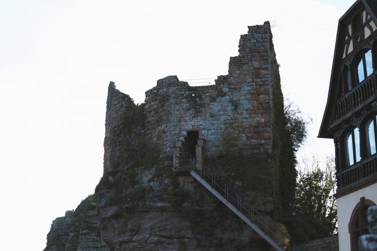 Château du Haut-Barr (6)