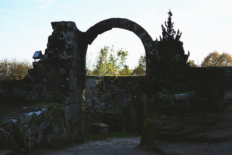 Château du Haut-Barr (8)