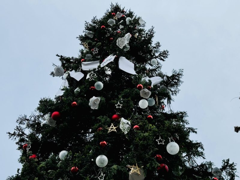 grand sapin