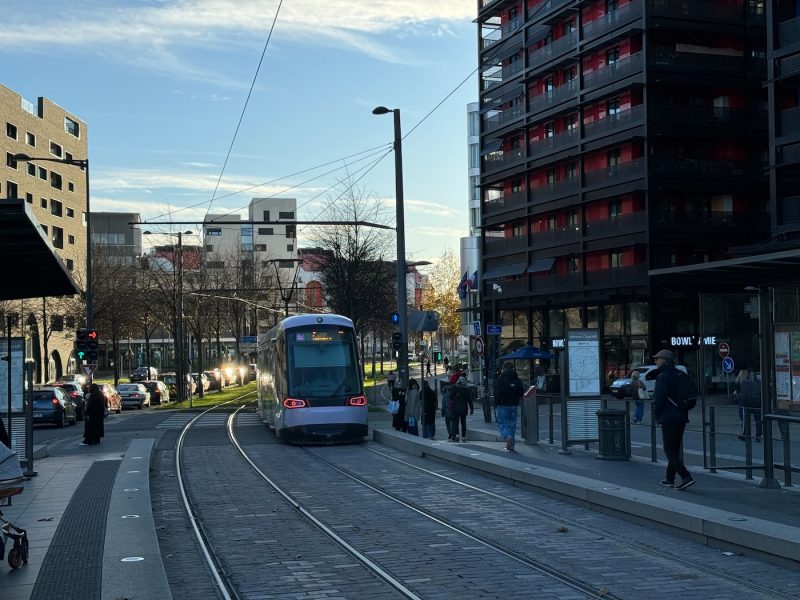 tram CTS black swans Winston Churchill