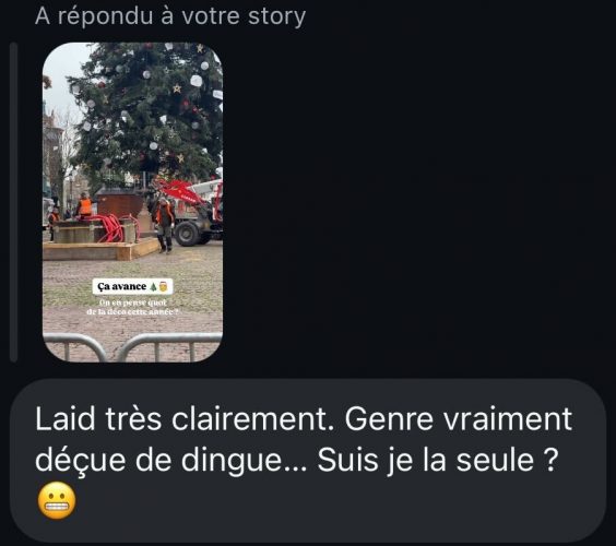 avis grand sapin insta