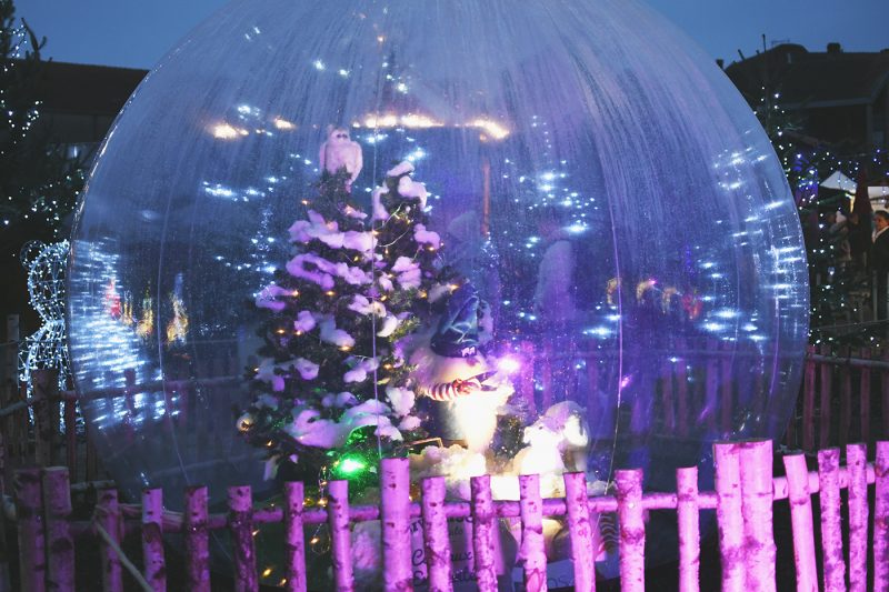 Marché de Noël de Sarrebourg forêt enchantée (11)