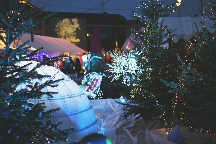 Marché de Noël de Sarrebourg forêt enchantée (18)