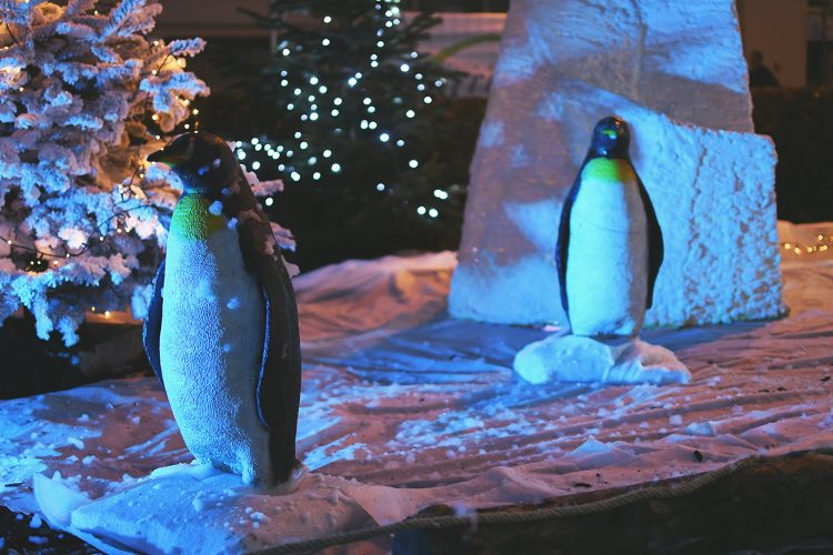 Marché de Noël de Sarrebourg forêt enchantée (20)