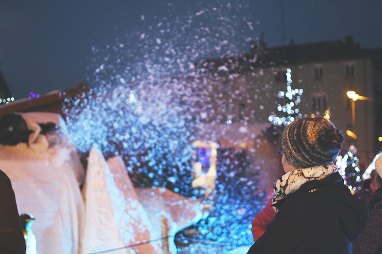 Marché de Noël de Sarrebourg forêt enchantée (23)