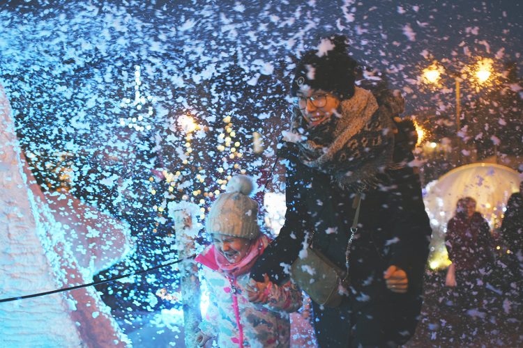 Marché de Noël de Sarrebourg forêt enchantée (24)