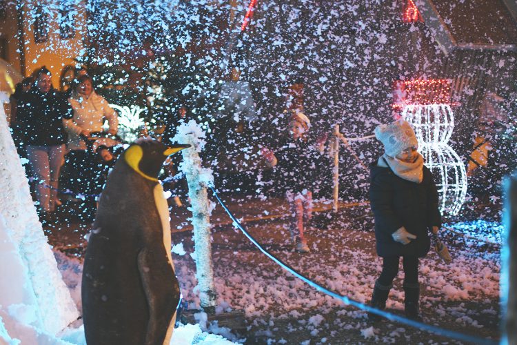 Marché de Noël de Sarrebourg forêt enchantée (25)