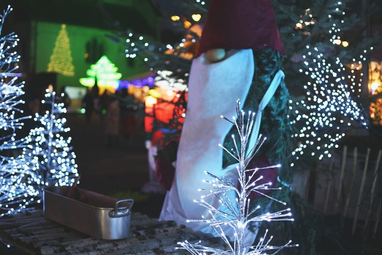 Marché de Noël de Sarrebourg forêt enchantée (26)