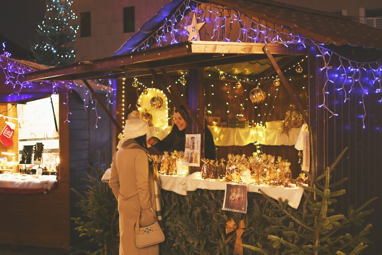 Marché de Noël de Sarrebourg forêt enchantée (36)