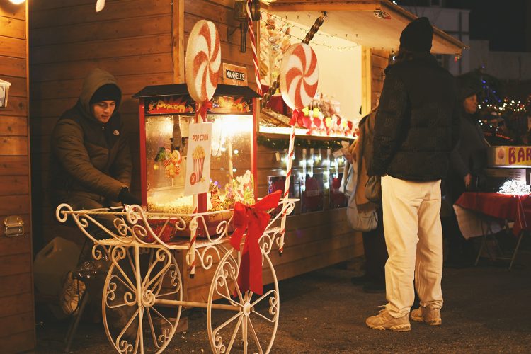 Marché de Noël de Sarrebourg forêt enchantée (38)