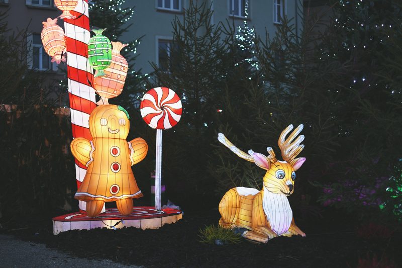 Marché de Noël de Sarrebourg forêt enchantée (4)