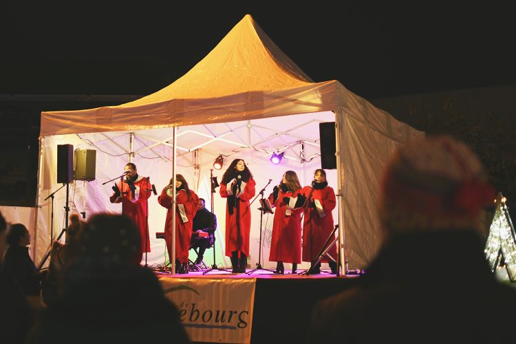 Marché de Noël de Sarrebourg forêt enchantée (46)