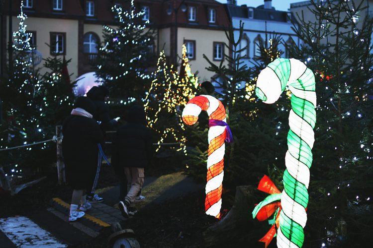 Marché de Noël de Sarrebourg forêt enchantée (5)