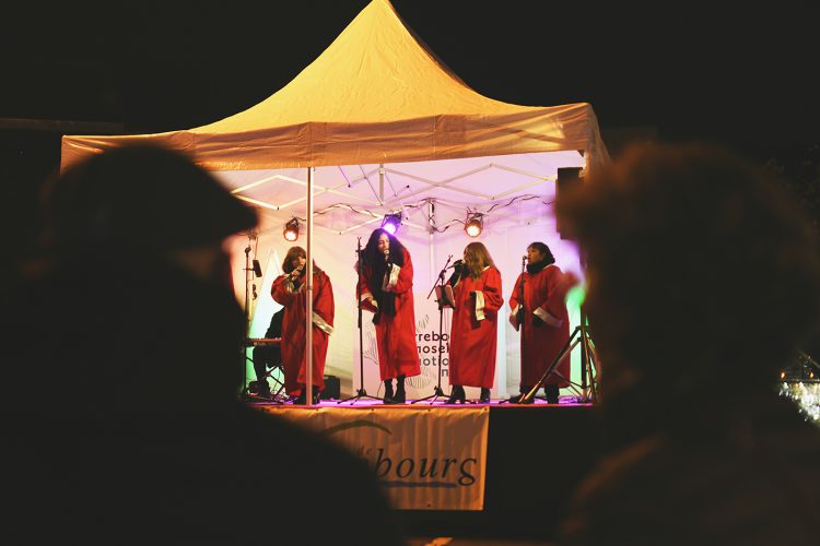 Marché de Noël de Sarrebourg forêt enchantée (50)