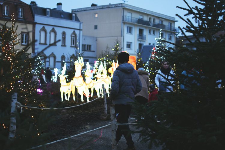 Marché de Noël de Sarrebourg forêt enchantée (6)