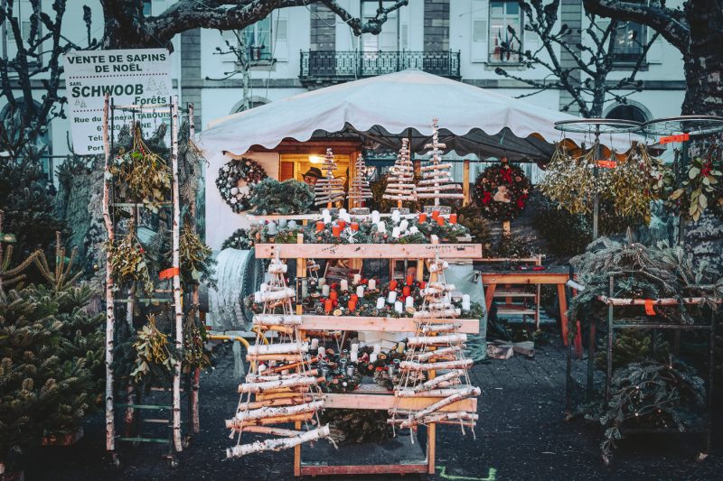 Marché de Noel 2024 sapins place Broglie