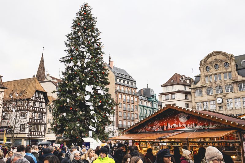Marché de Noel 2024 sapins et chalets place Kléber