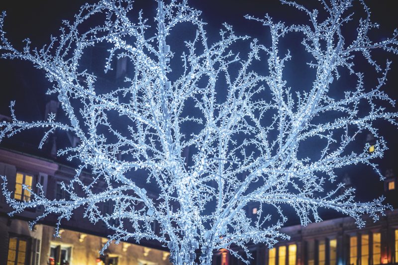 Marché de Noel 2024 L’arbre bleu la place Gutenberg réalisé par Pierre Bardet