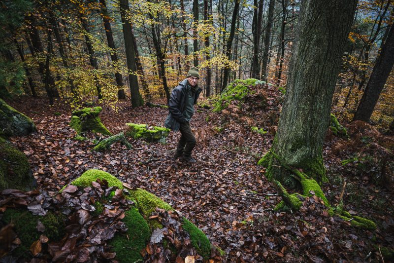 Lynx protection nature vosges SOS Faucon Pèlerin Lynx