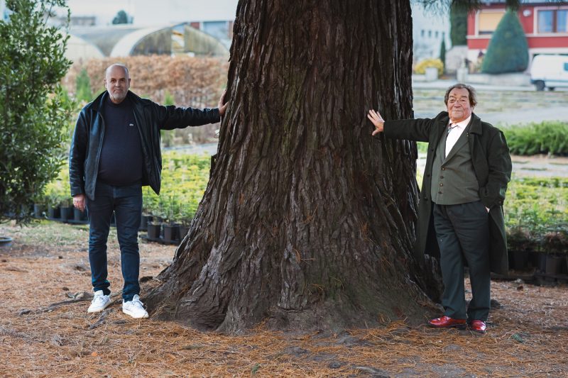 Jean-Georges SAEMANN et Gérard Spieler devant grand tronc d’arbre à la pépinière de Valentin Spieler à Haguenau