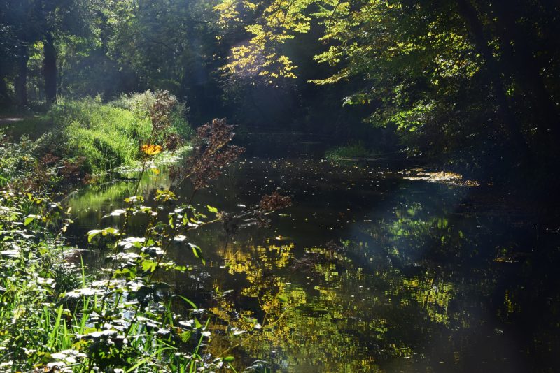 Canal_Bruche_Automne_1