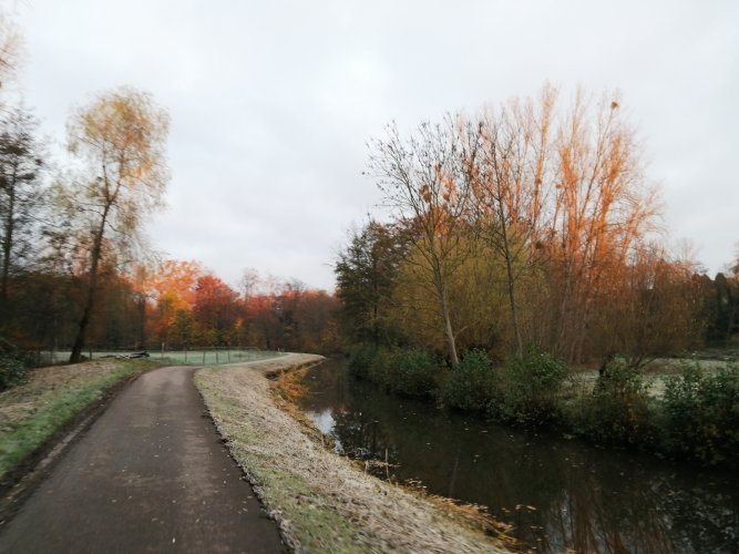 Canal_Bruche_Automne_2