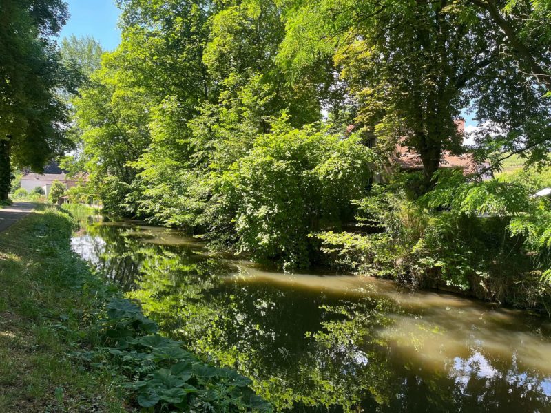 Canal_Bruche_Eté_1