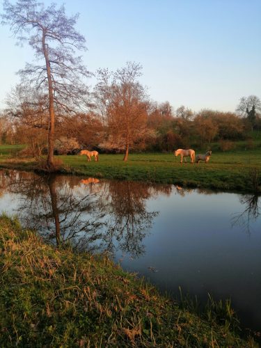 Canal_Bruche_Hiver_3