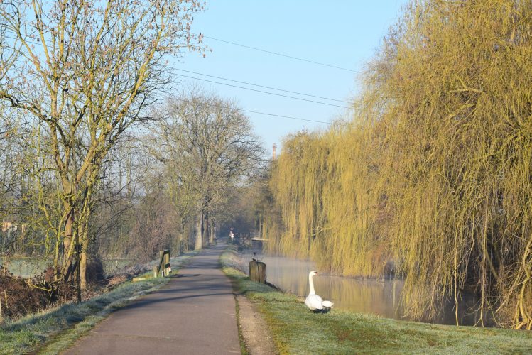 Canal_Bruche_Printemps_1
