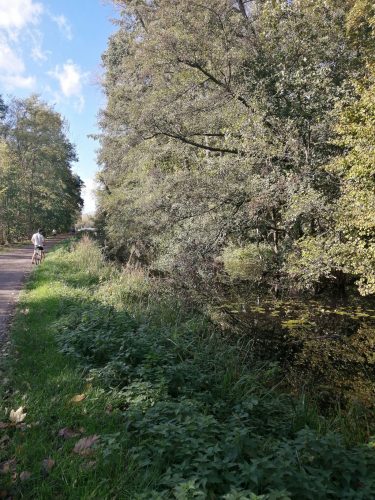Canal_Bruche_Printemps_3