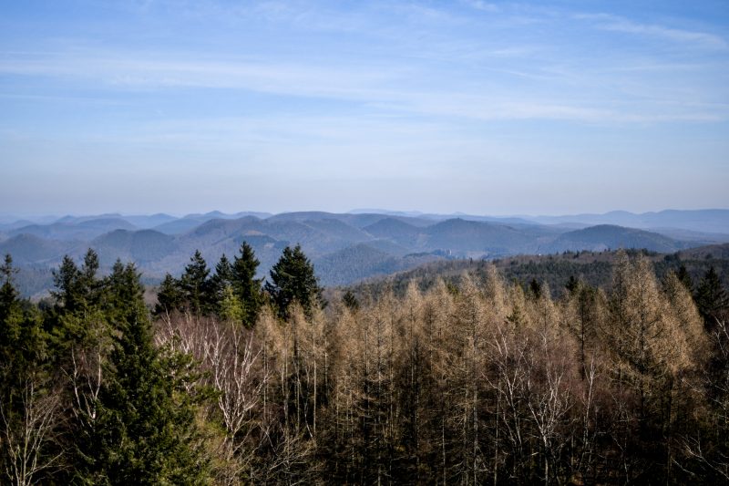 randonnee_grand_wintersberg-19