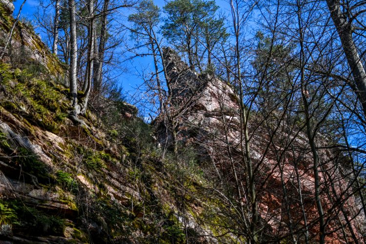 randonnee_grand_wintersberg-2